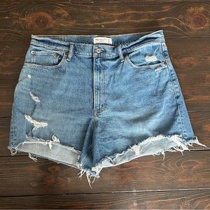 Abercrombie & Fitch Curve Love High Rise 4” Mom Short (Size 32/14)